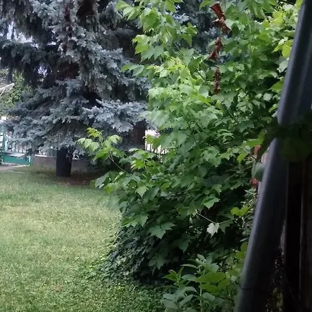 Homestay szállás Lilla-villa